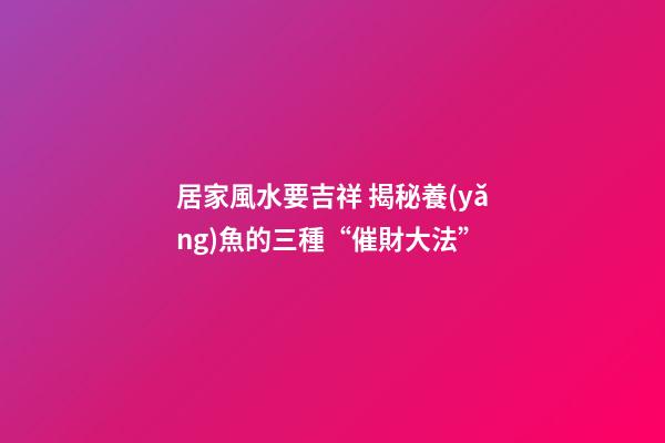 居家風水要吉祥 揭秘養(yǎng)魚的三種“催財大法”